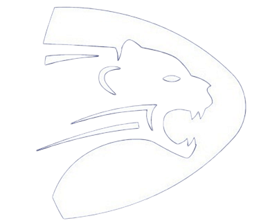 Panter Aviation Logo